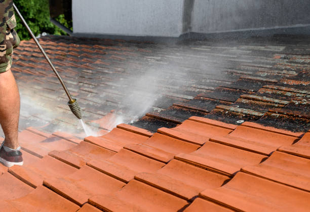 Best Best Pressure Washing Companies  in Nicollet, MN