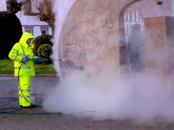 Best Roof Power Washing Services  in Nicollet, MN